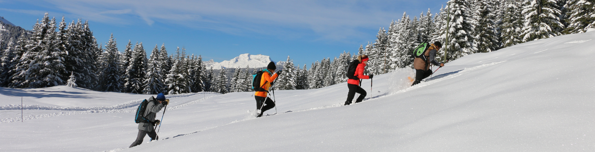 Snowshoeing & Hiking accessories | TSL Outdoor Snowshoeing & Hiking accessories | TSL Outdoor